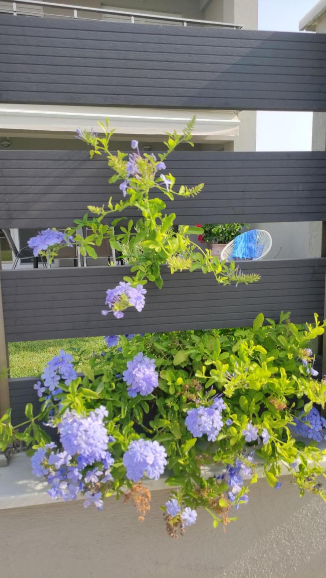 To Helidoni Apartment & Gardens Никити Екстериор снимка